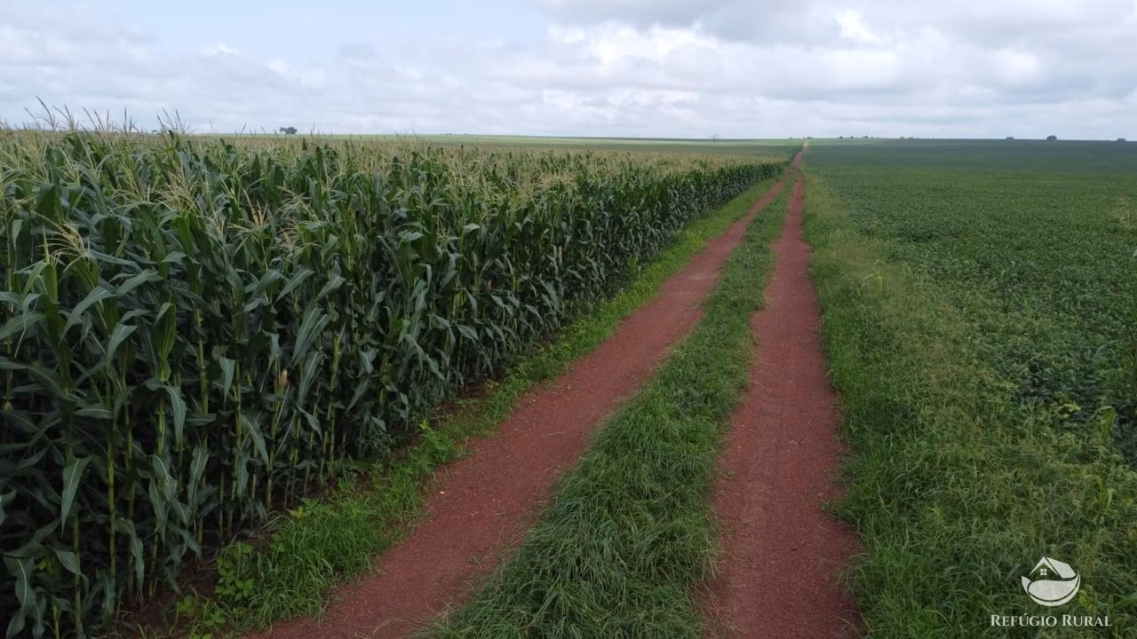 Fazenda de 4.694 ha em Paraíso do Tocantins, TO