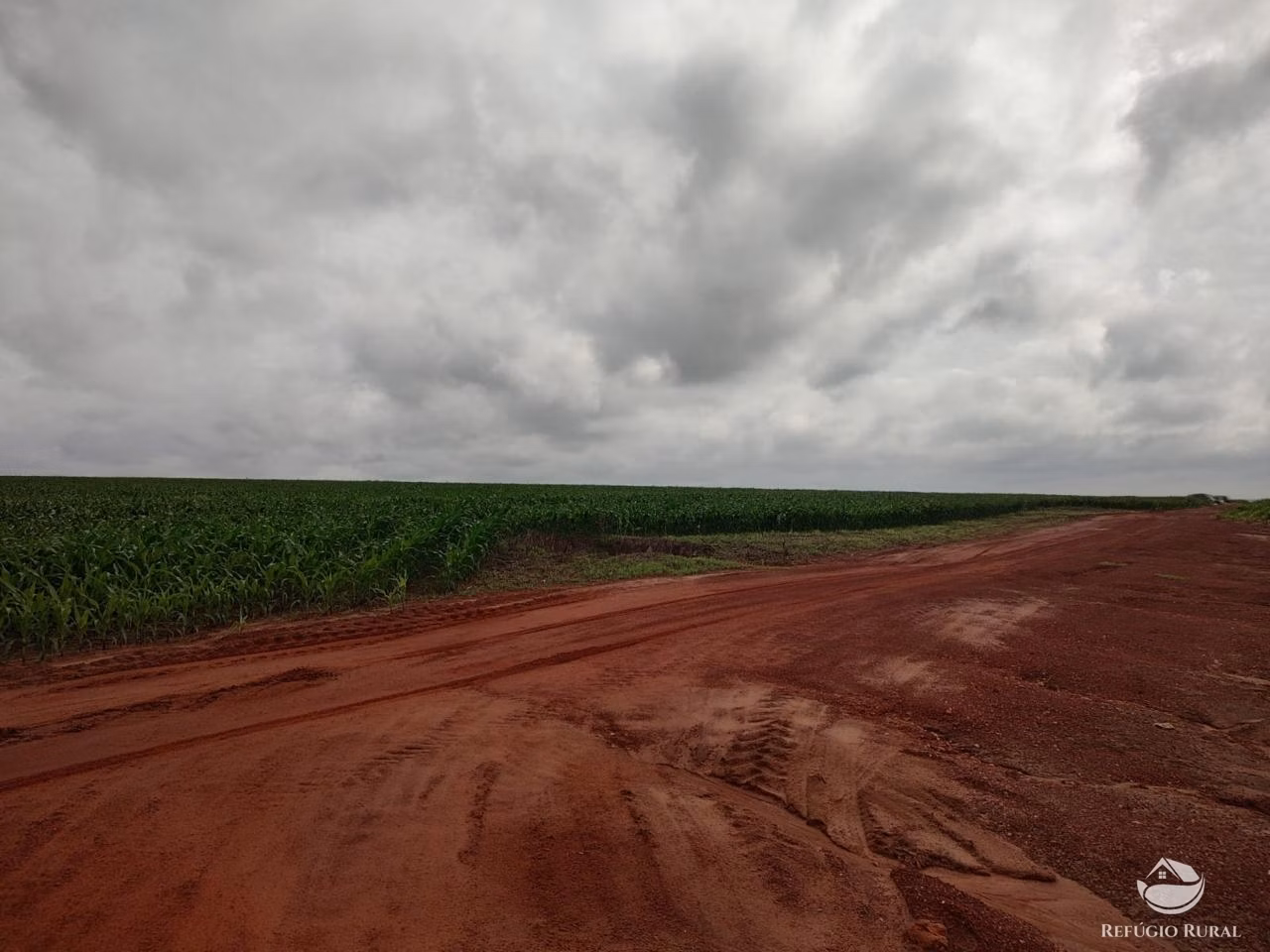 Fazenda de 4.694 ha em Paraíso do Tocantins, TO