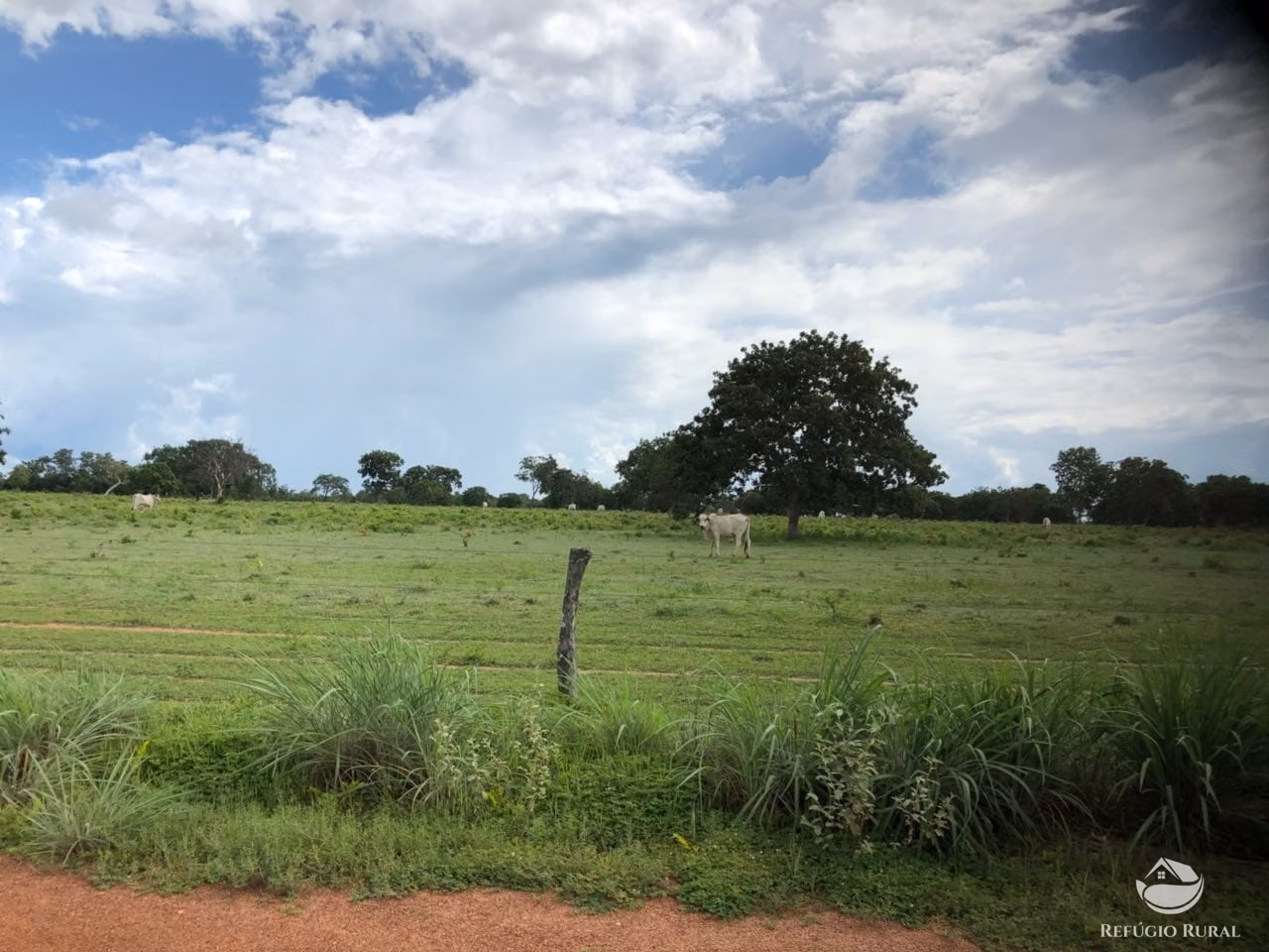 Fazenda de 4.694 ha em Paraíso do Tocantins, TO