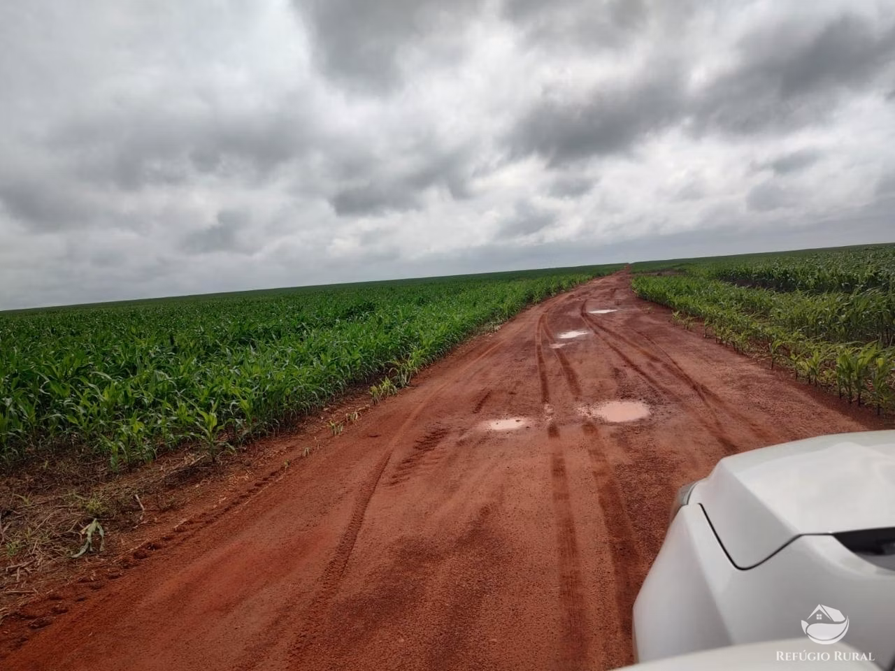 Fazenda de 4.694 ha em Paraíso do Tocantins, TO