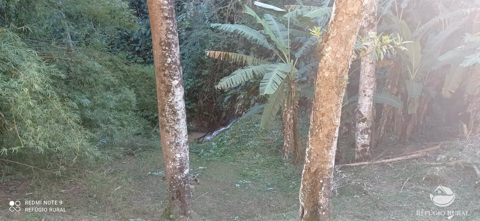 Small farm of 35 acres in Monteiro Lobato, SP, Brazil