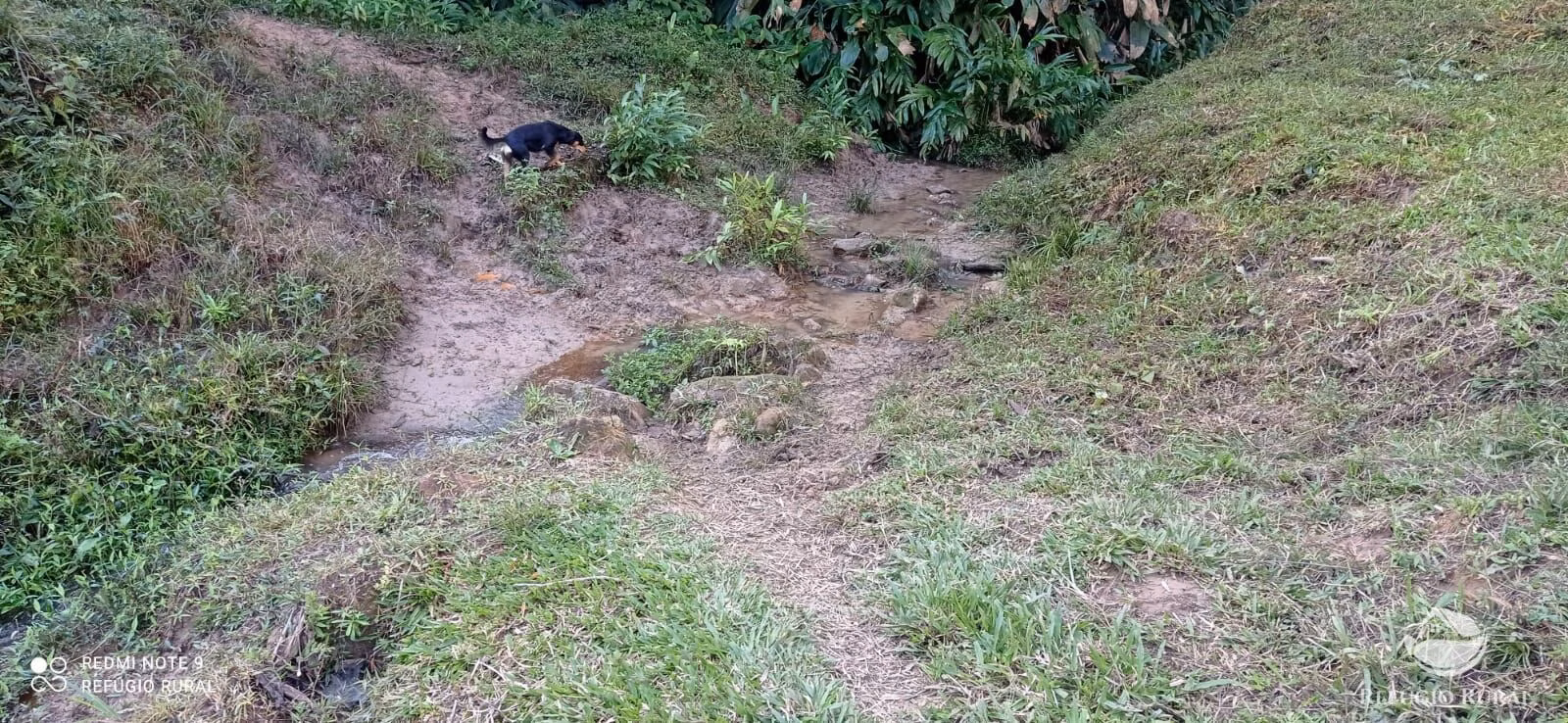 Small farm of 35 acres in Monteiro Lobato, SP, Brazil