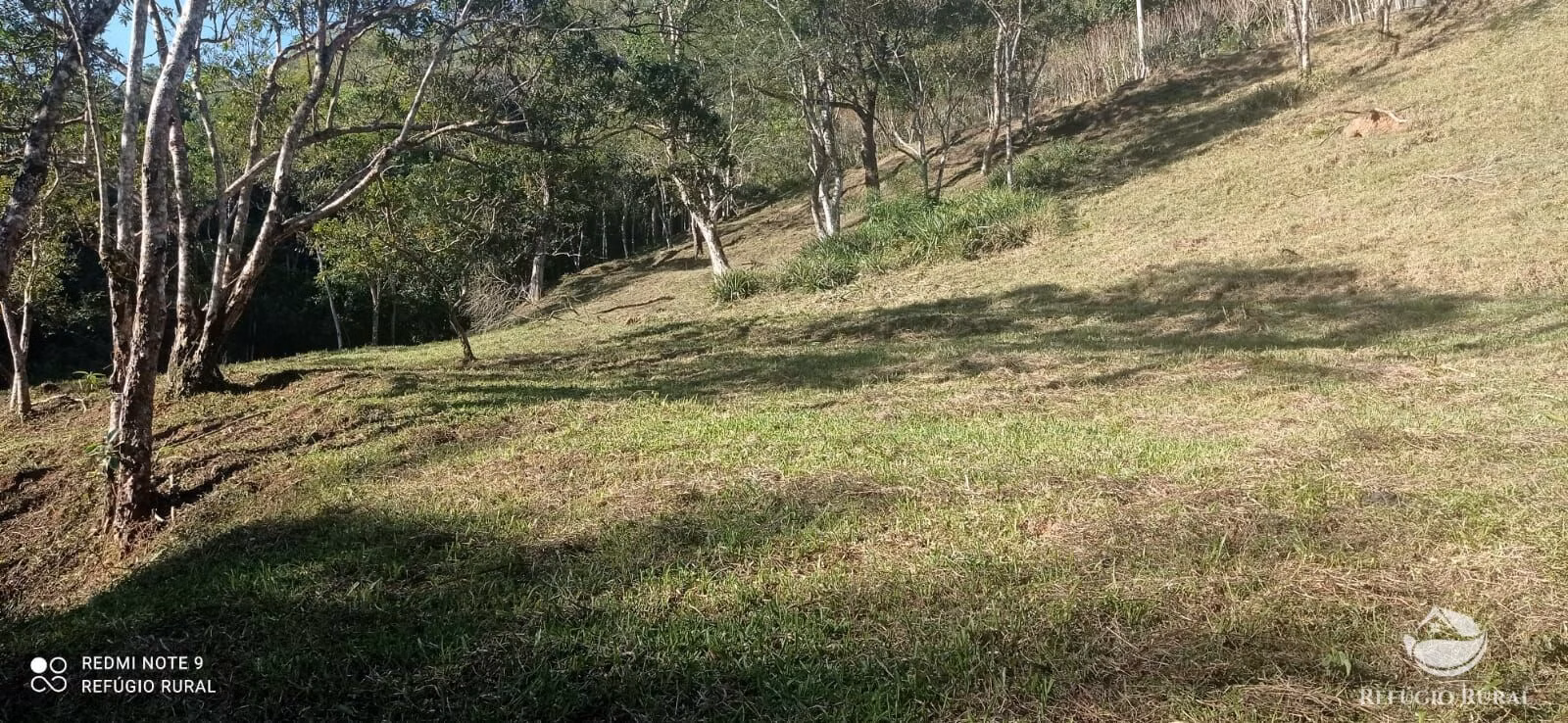 Small farm of 35 acres in Monteiro Lobato, SP, Brazil