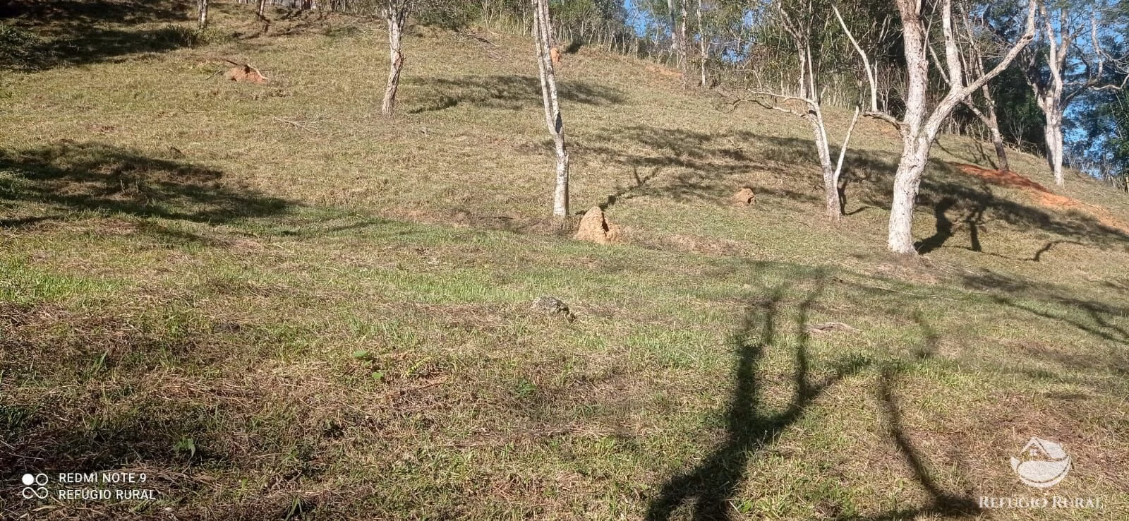 Small farm of 35 acres in Monteiro Lobato, SP, Brazil