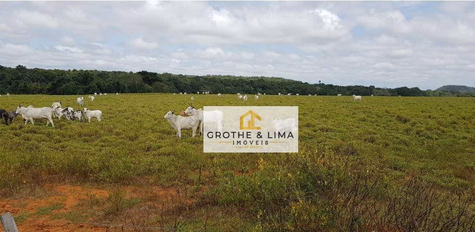 Farm of 24.488 acres in Araguaína, TO, Brazil