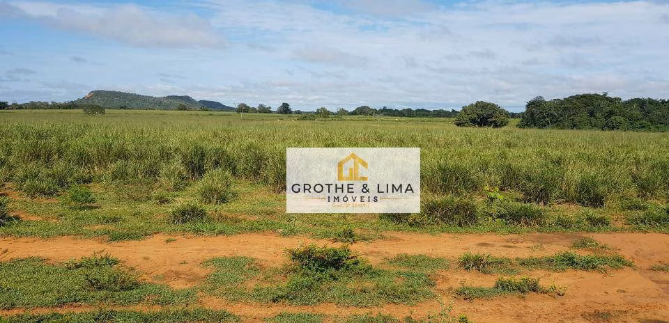 Farm of 24.488 acres in Araguaína, TO, Brazil