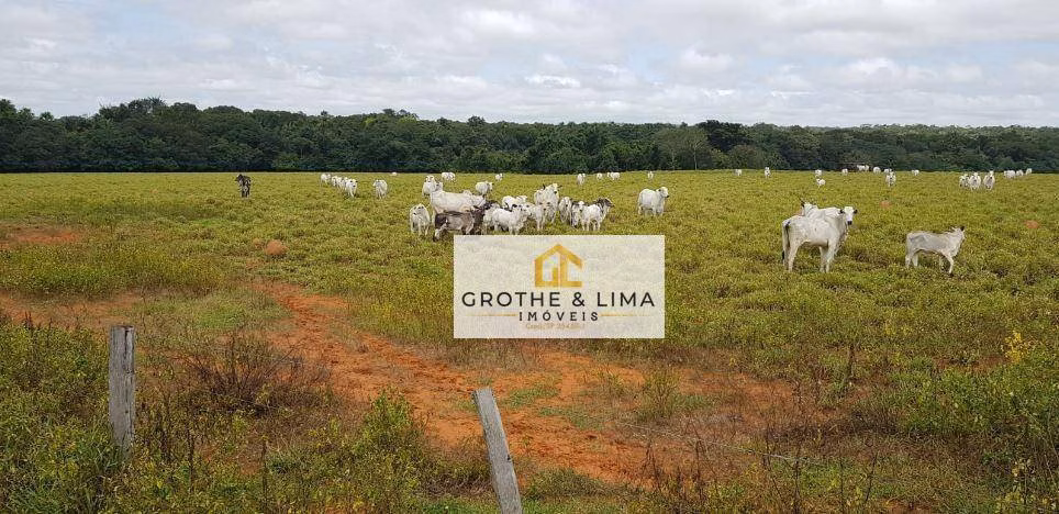 Farm of 24.488 acres in Araguaína, TO, Brazil
