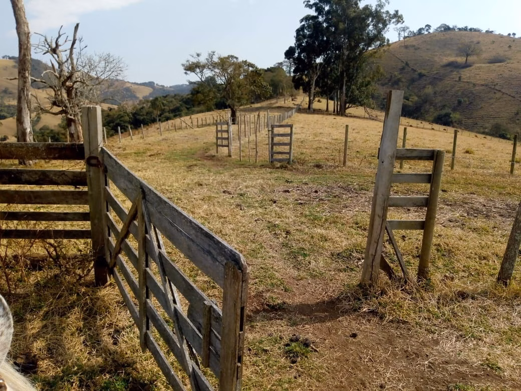 Sítio de 53 ha em Cambuí, MG