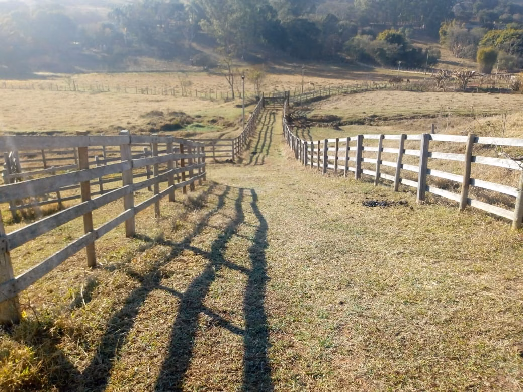 Sítio de 53 ha em Cambuí, MG