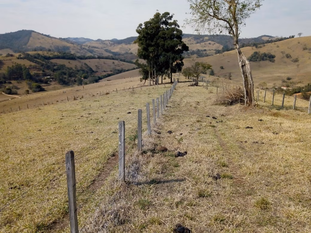 Sítio de 53 ha em Cambuí, MG