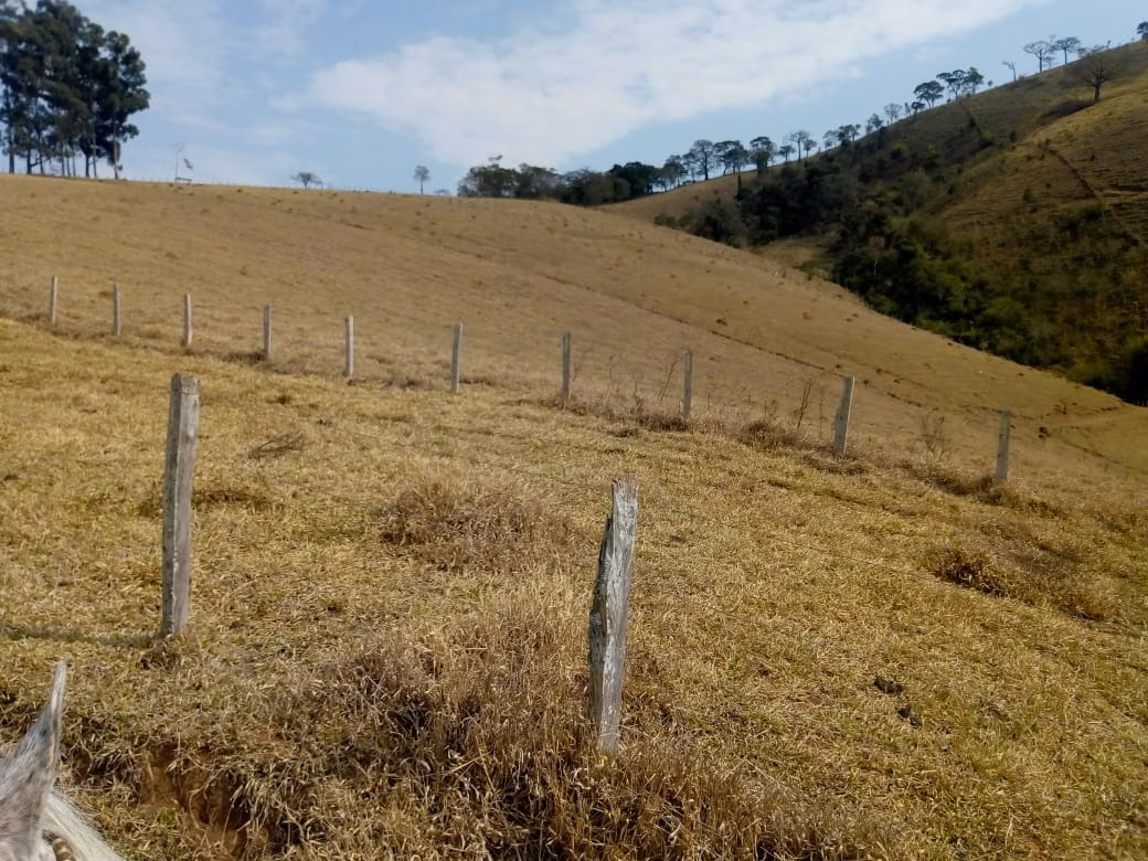 Sítio de 53 ha em Cambuí, MG
