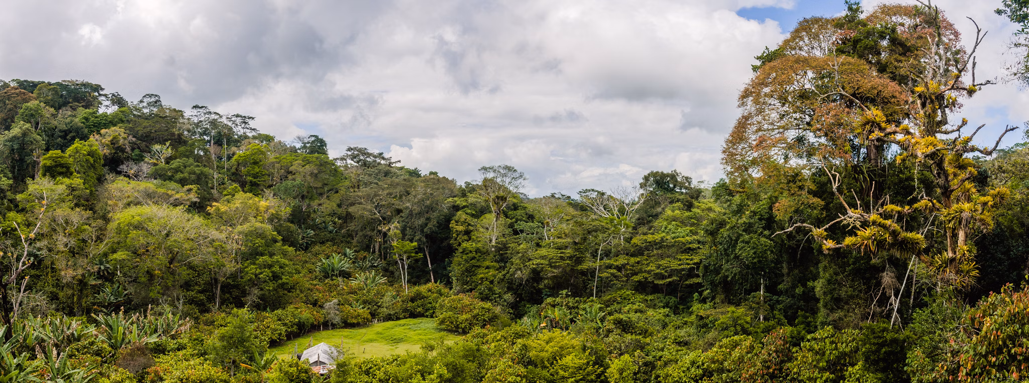 Farm of 148 acres in Ilhéus, BA, Brazil