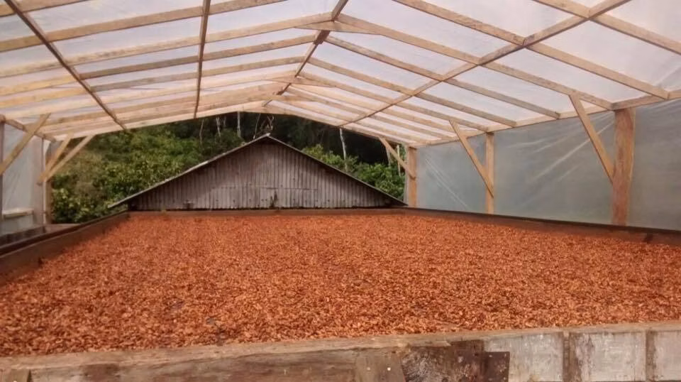 Farm of 148 acres in Ilhéus, BA, Brazil