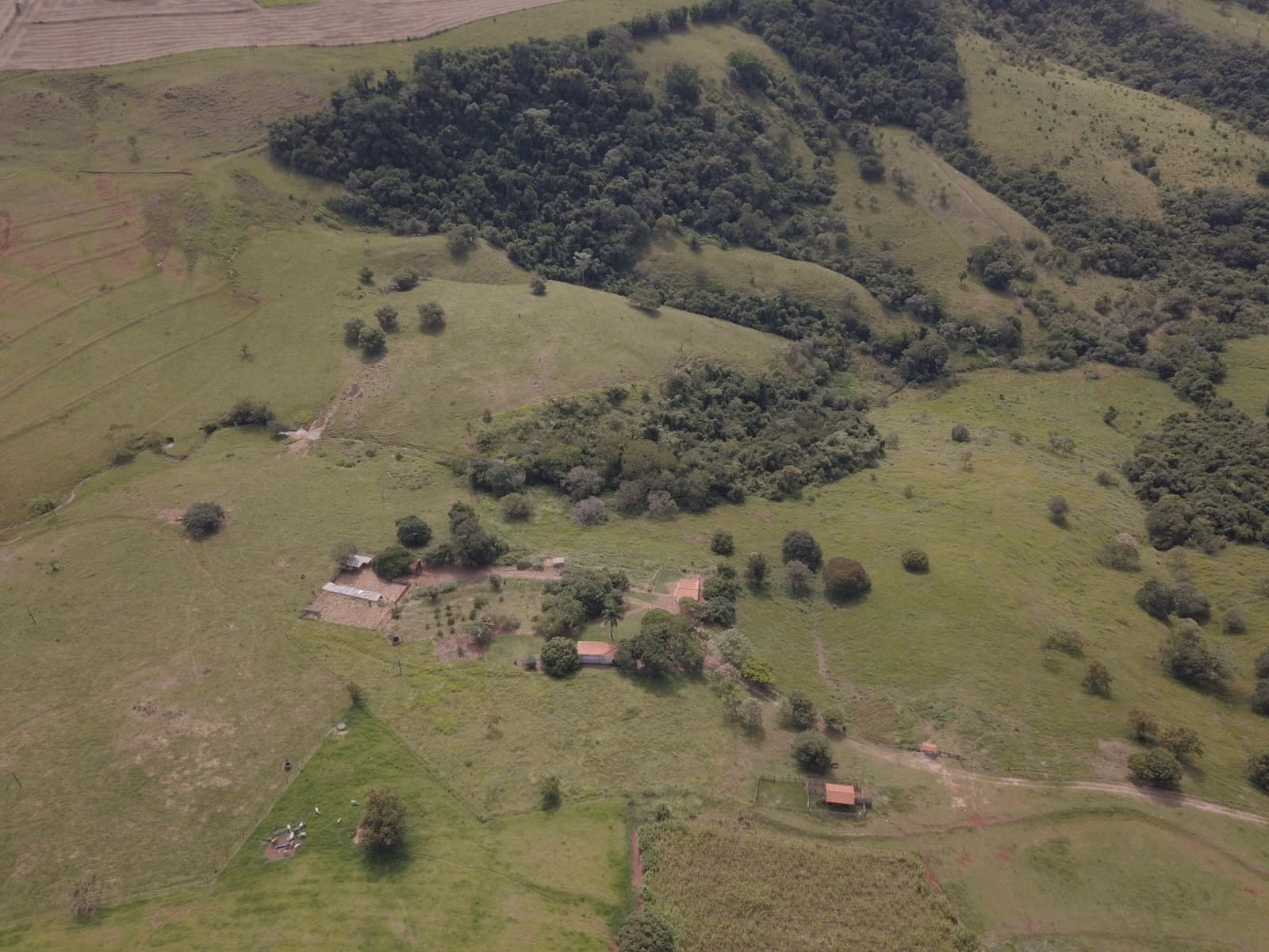 Small farm for sale of 39 acres in Piraju, SP, Brazil