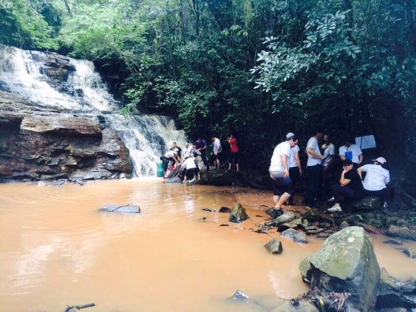 Small farm for sale of 39 acres in Piraju, SP, Brazil