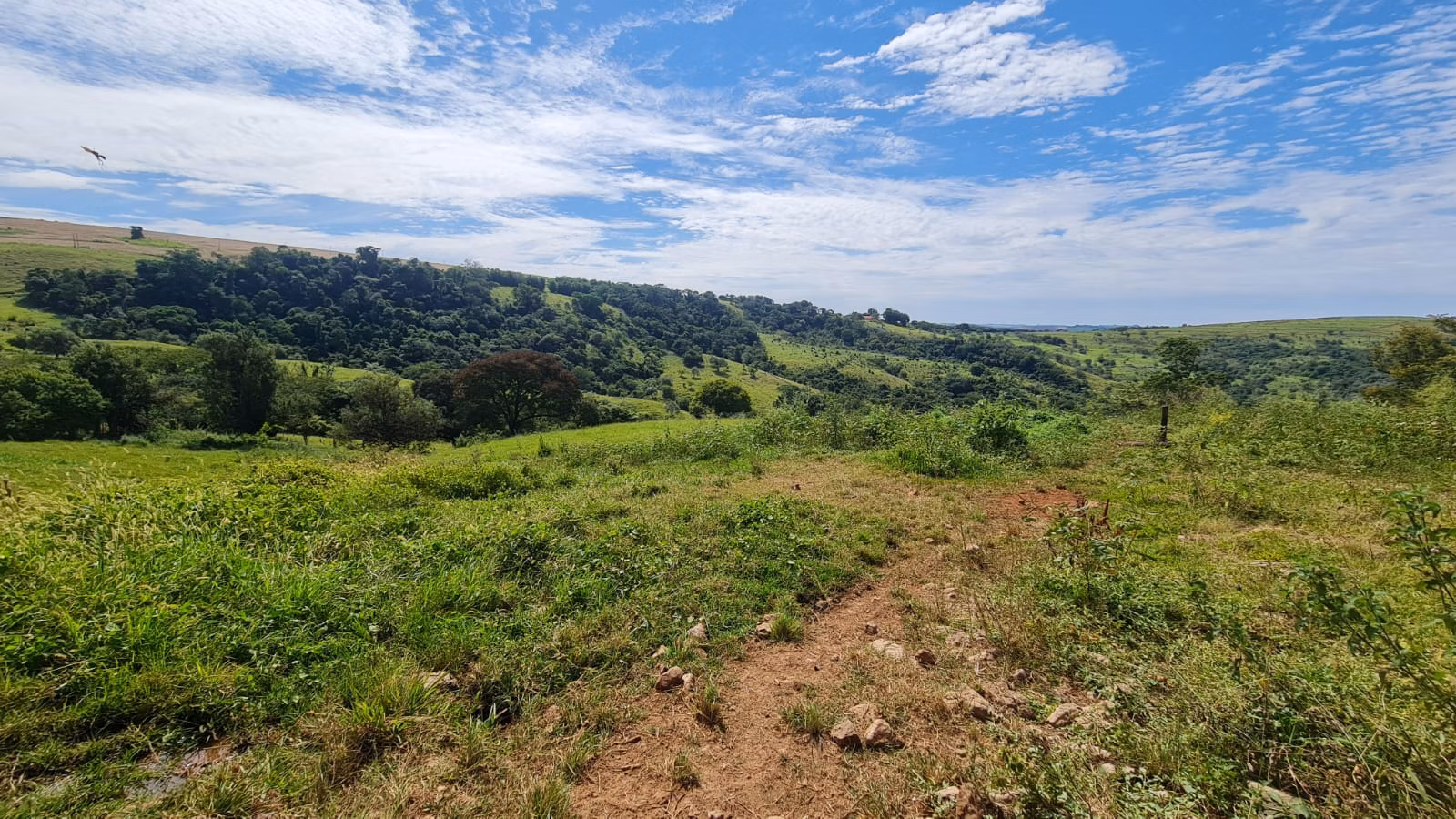 Small farm for sale of 39 acres in Piraju, SP, Brazil