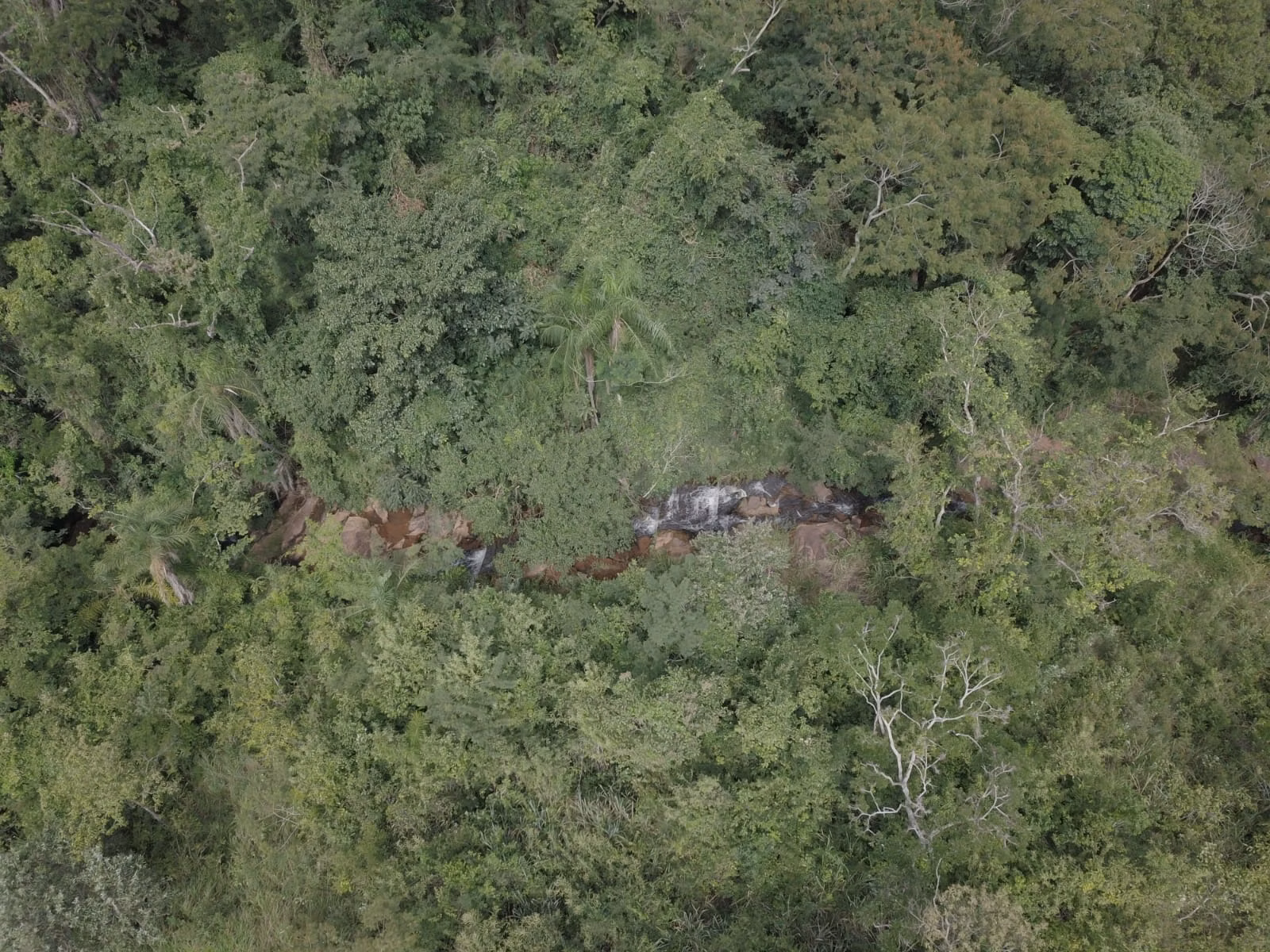 Small farm for sale of 39 acres in Piraju, SP, Brazil