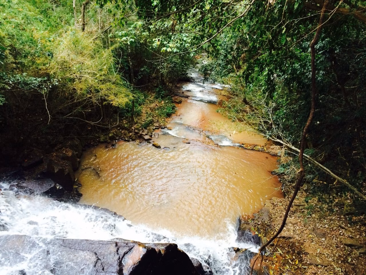 Small farm for sale of 39 acres in Piraju, SP, Brazil