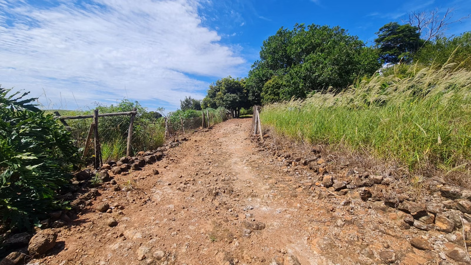Small farm for sale of 39 acres in Piraju, SP, Brazil