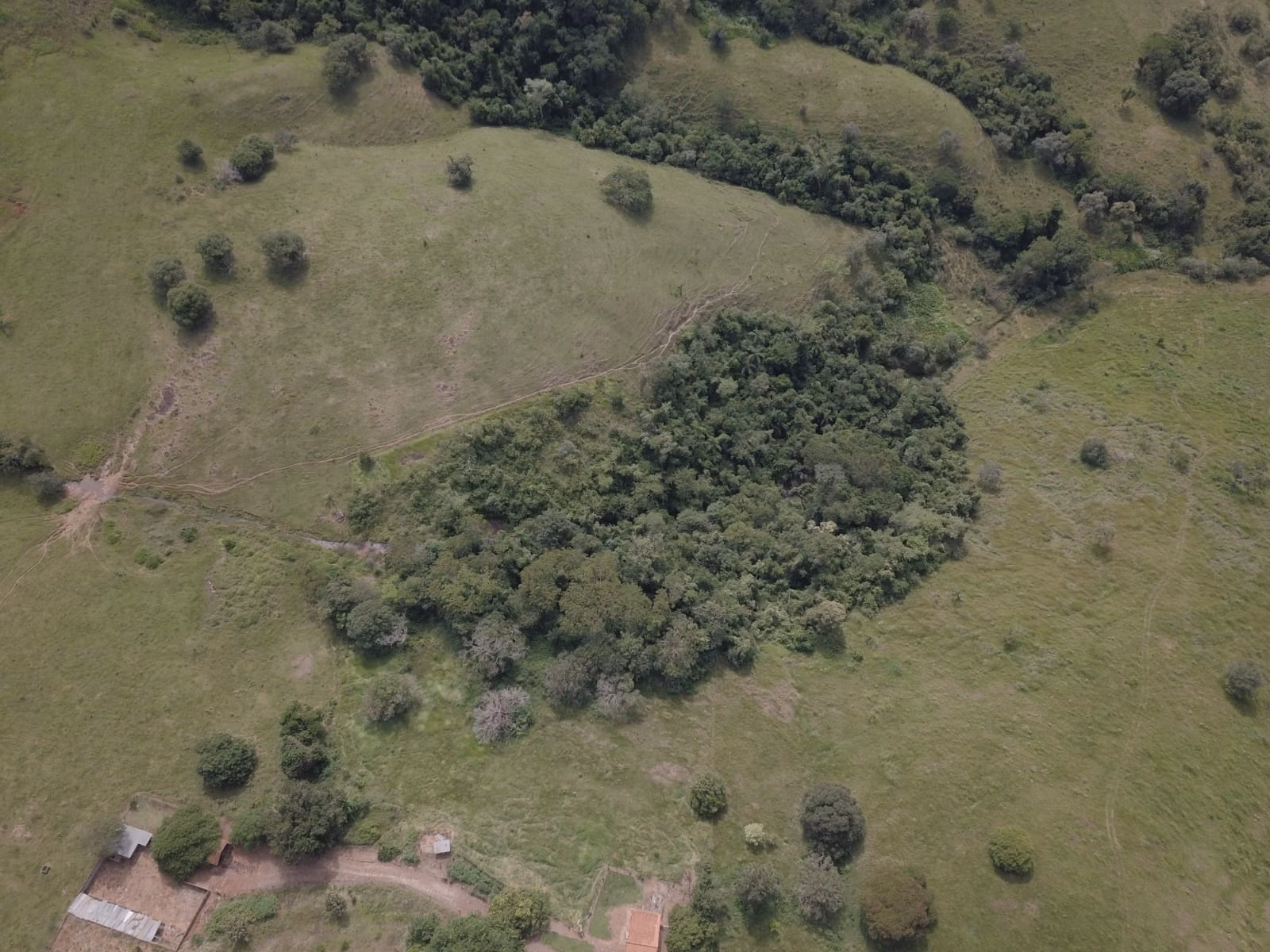 Small farm for sale of 39 acres in Piraju, SP, Brazil