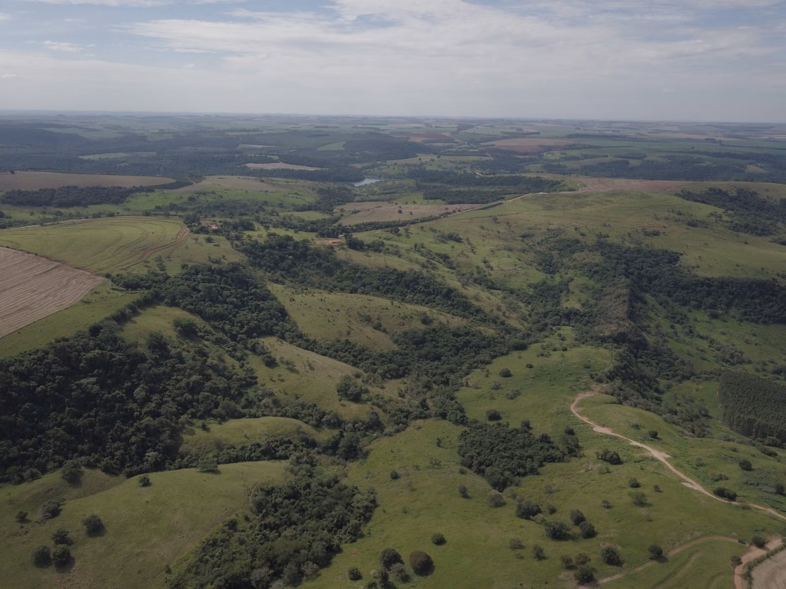 Small farm for sale of 39 acres in Piraju, SP, Brazil