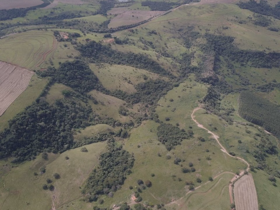 Small farm for sale of 39 acres in Piraju, SP, Brazil