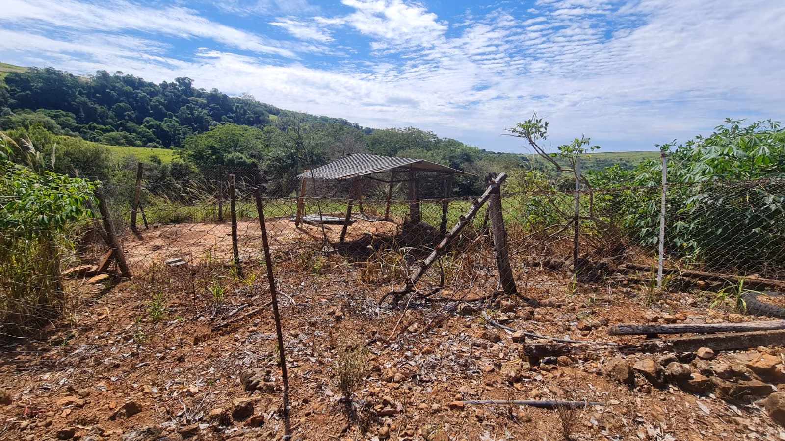Small farm for sale of 39 acres in Piraju, SP, Brazil