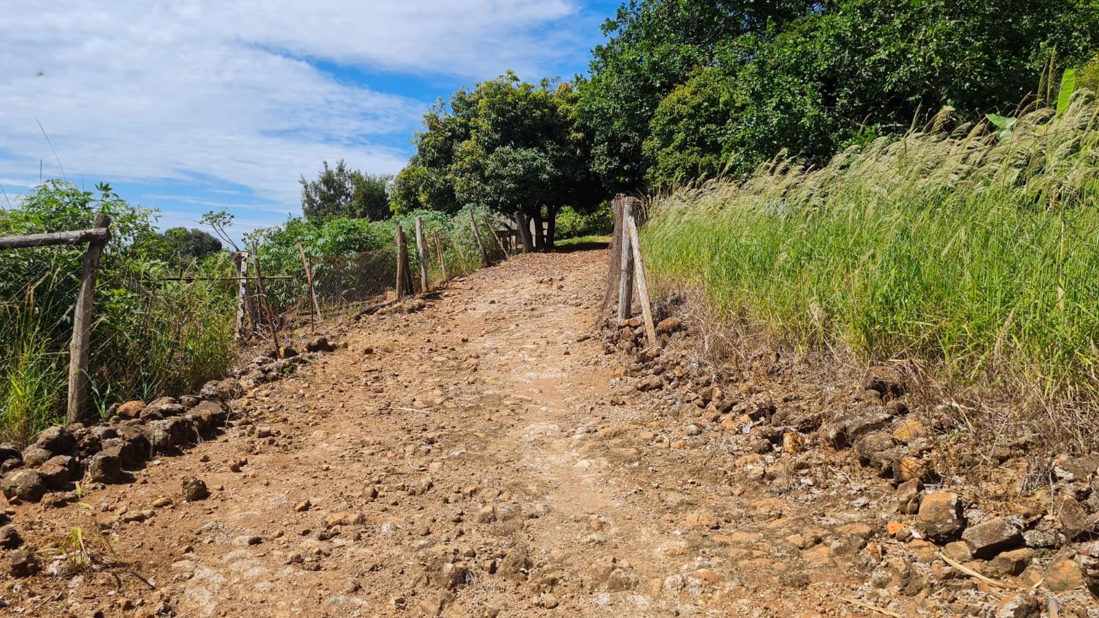 Small farm for sale of 39 acres in Piraju, SP, Brazil