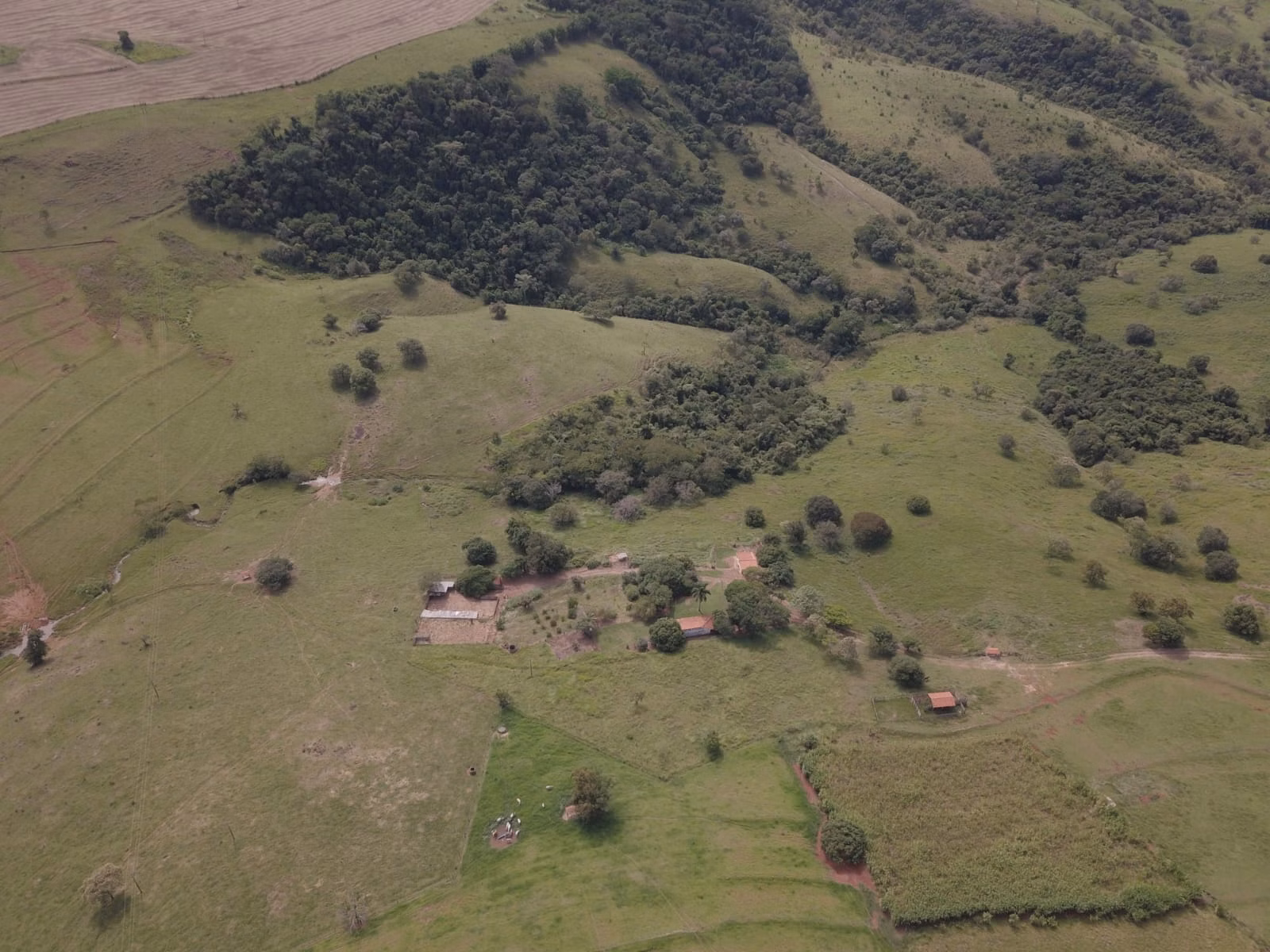 Small farm for sale of 39 acres in Piraju, SP, Brazil