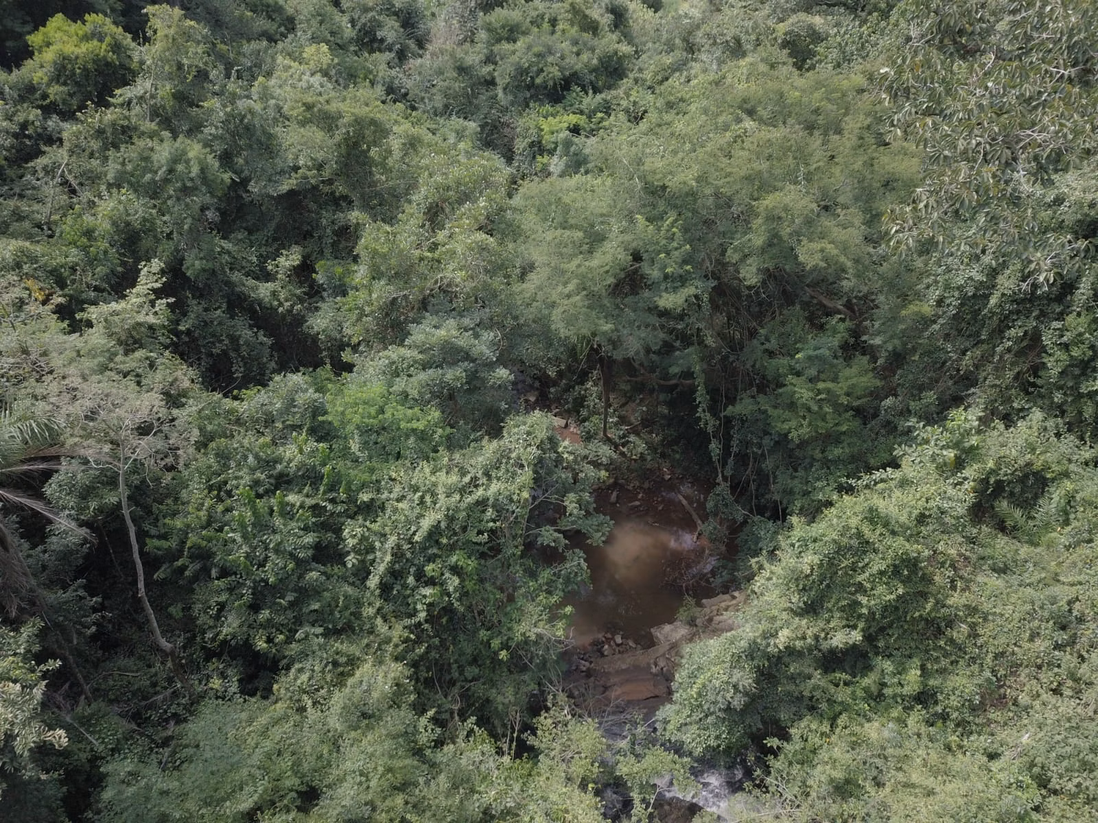 Small farm for sale of 39 acres in Piraju, SP, Brazil