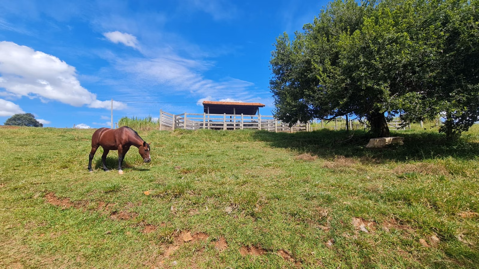 Small farm for sale of 39 acres in Piraju, SP, Brazil