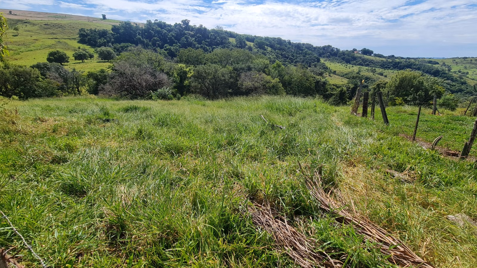 Small farm for sale of 39 acres in Piraju, SP, Brazil