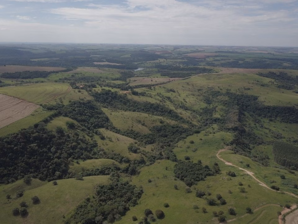 Small farm for sale of 39 acres in Piraju, SP, Brazil