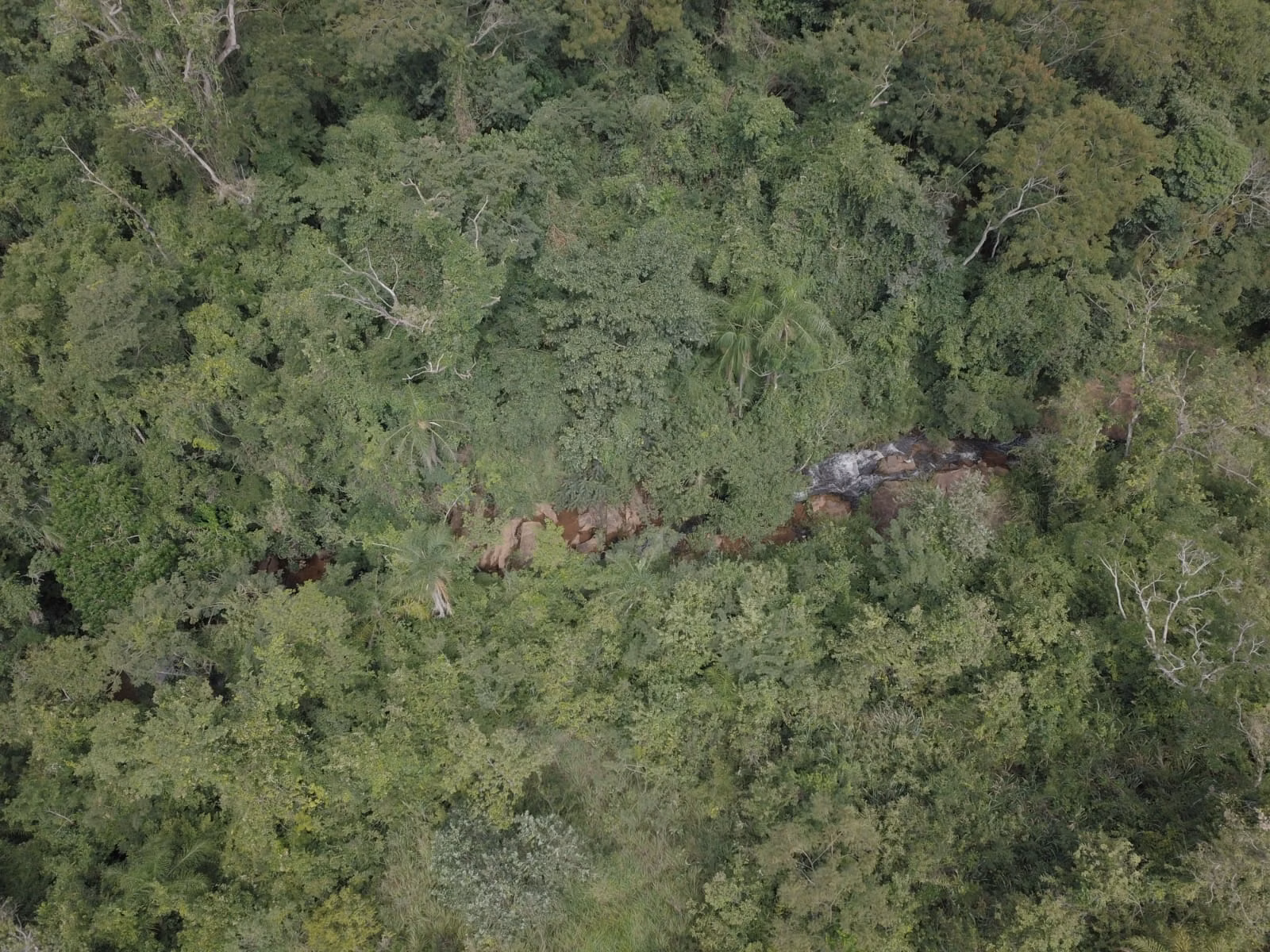 Small farm for sale of 39 acres in Piraju, SP, Brazil