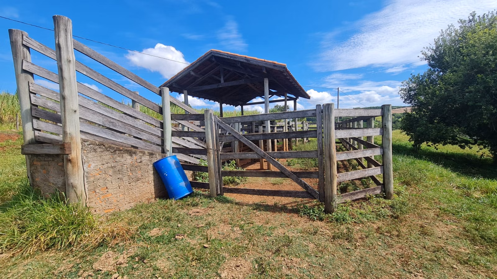 Small farm for sale of 39 acres in Piraju, SP, Brazil