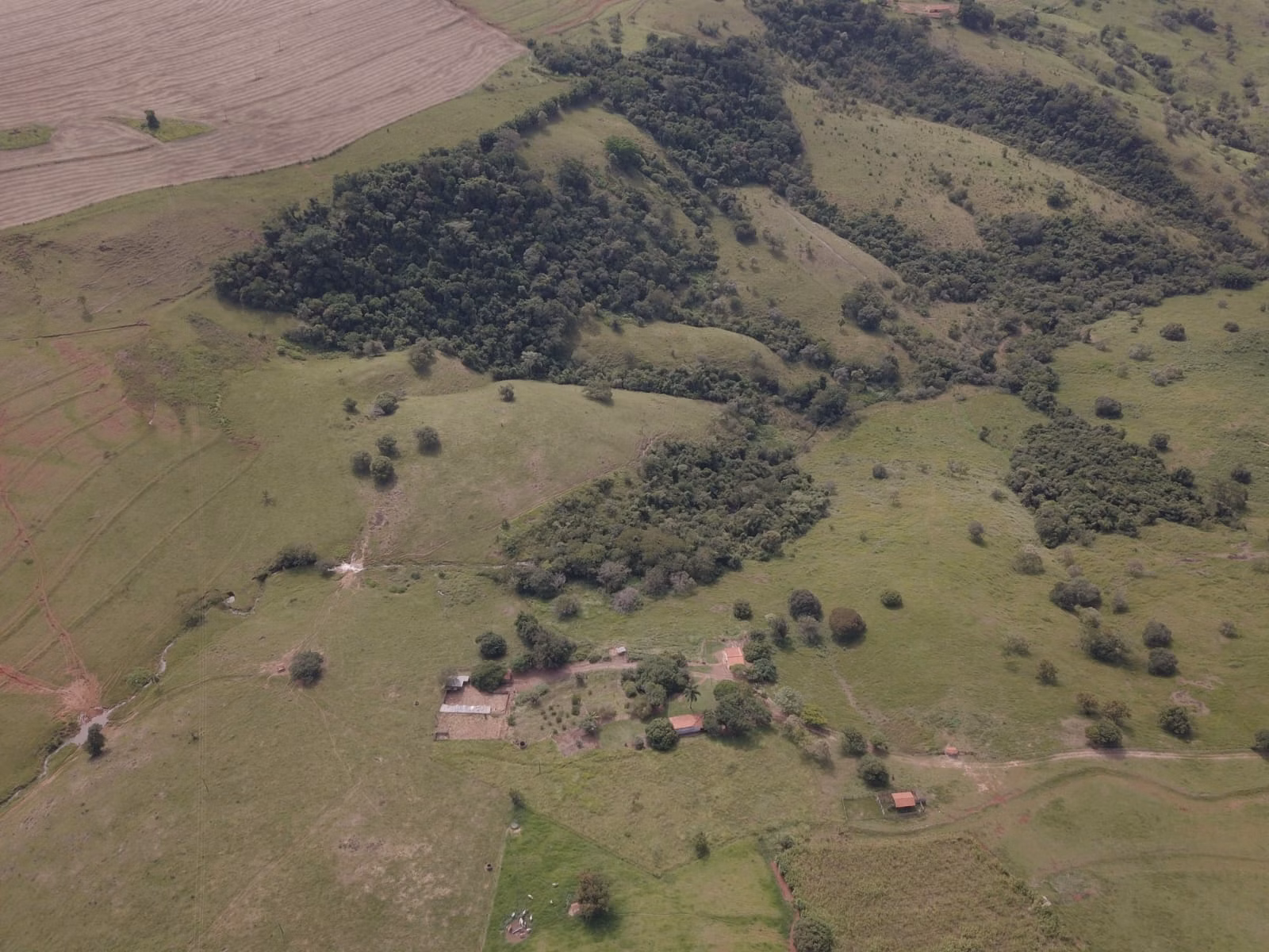 Small farm for sale of 39 acres in Piraju, SP, Brazil