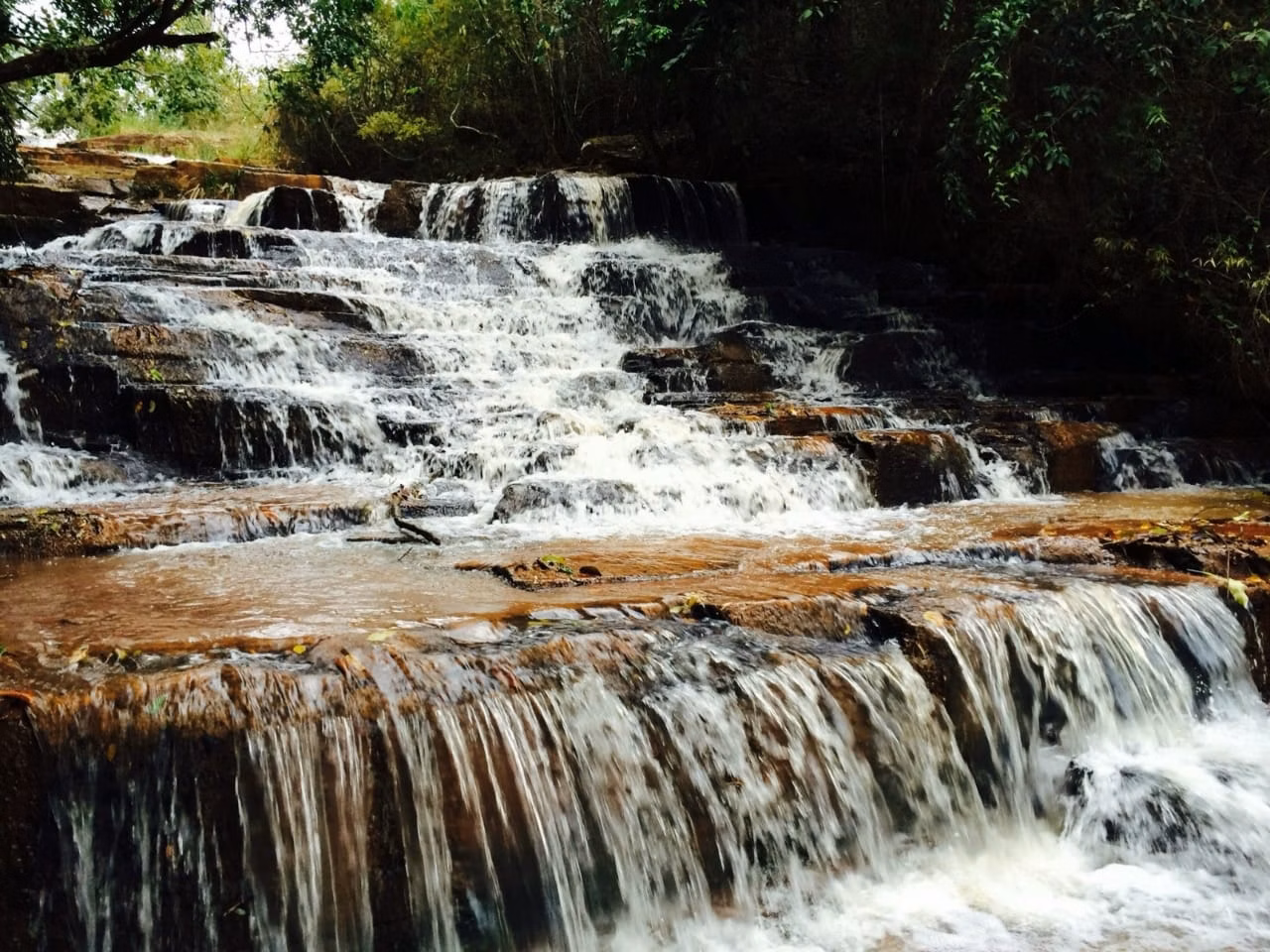 Small farm for sale of 39 acres in Piraju, SP, Brazil
