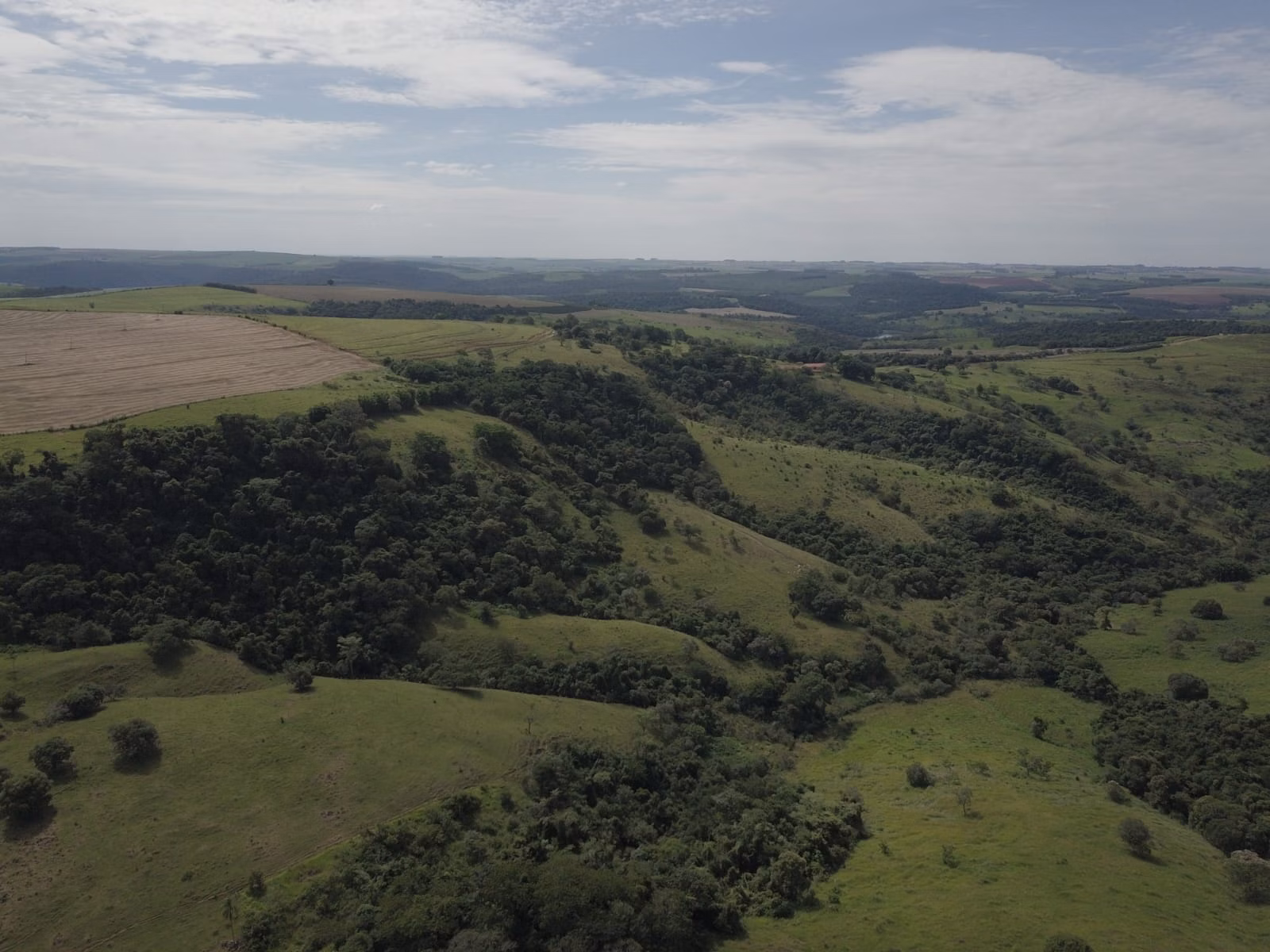 Small farm for sale of 39 acres in Piraju, SP, Brazil