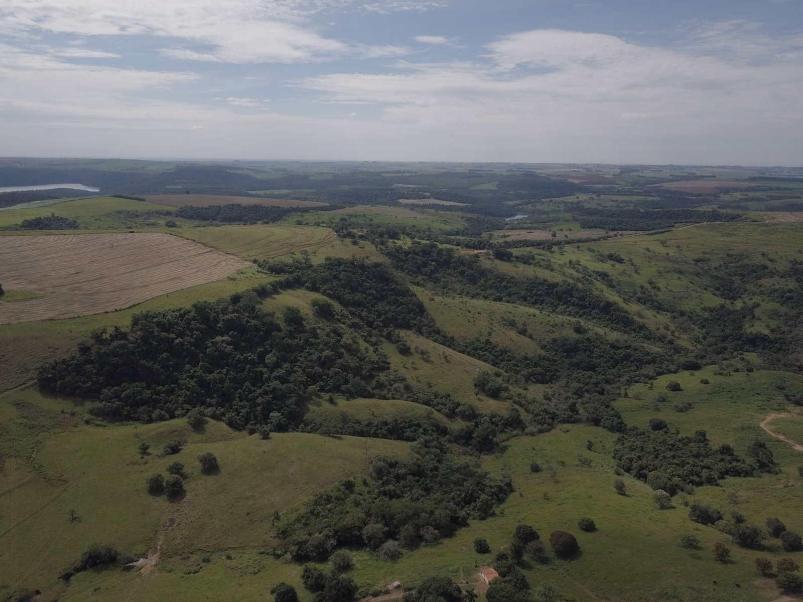 Small farm for sale of 39 acres in Piraju, SP, Brazil