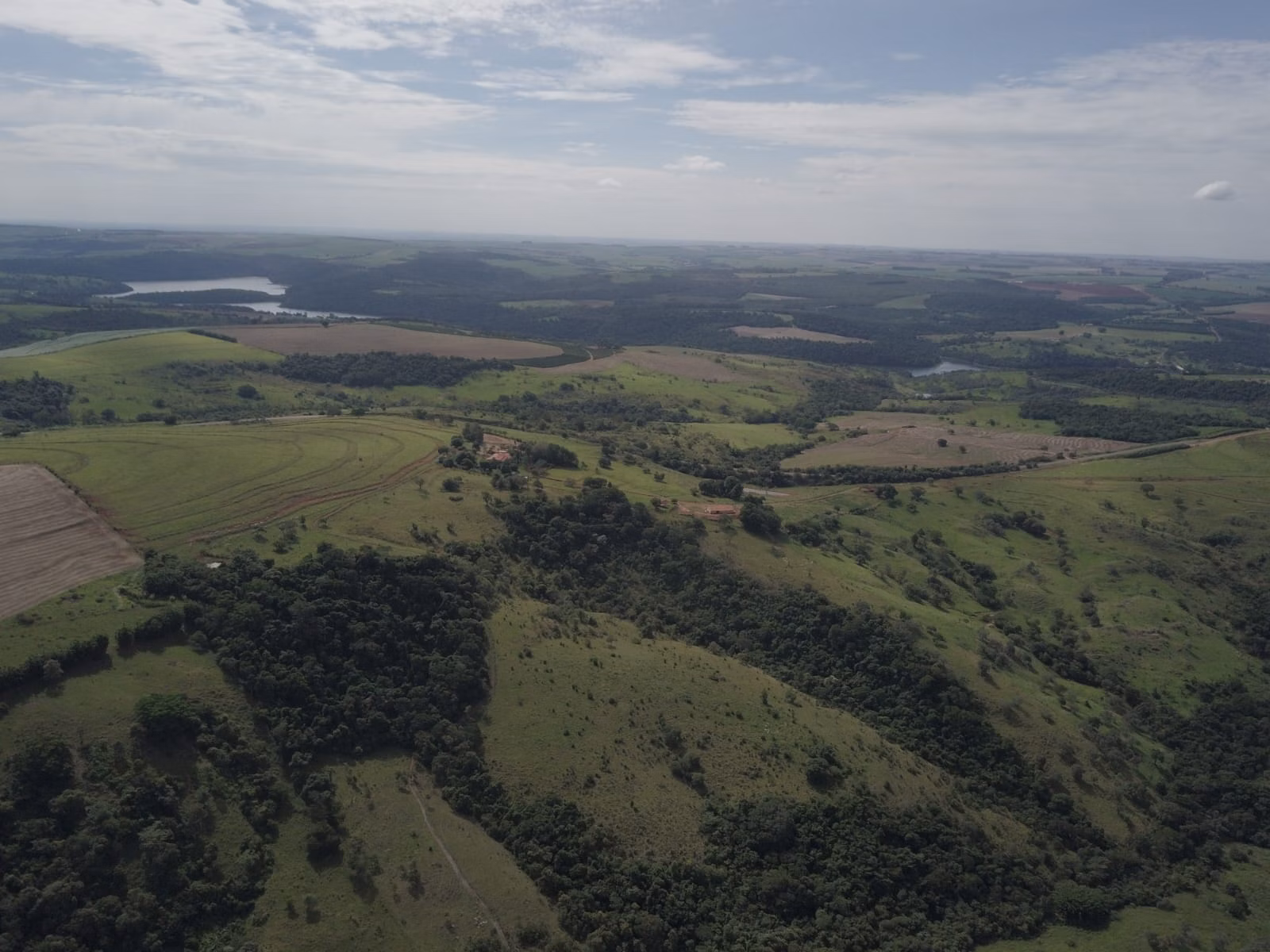 Small farm for sale of 39 acres in Piraju, SP, Brazil