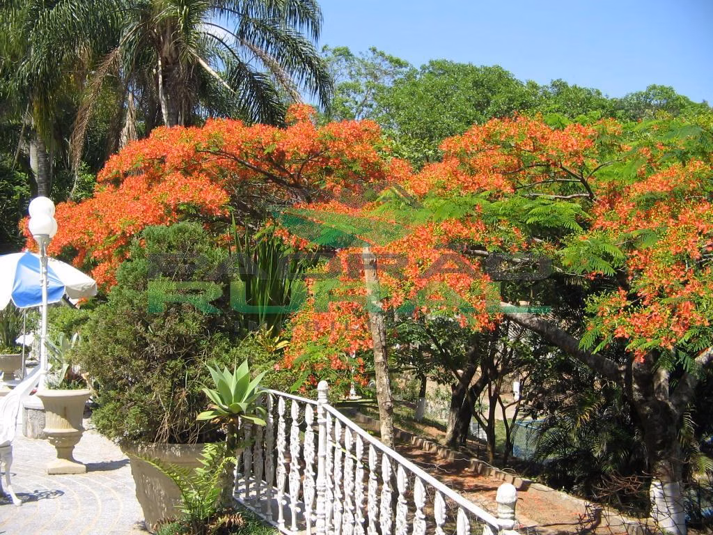 Chácara de 1 ha em Valinhos, SP