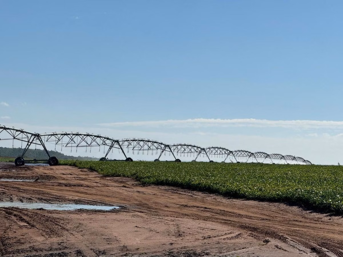 Petite ferme à vendre de 24 ha à Itobi, SP