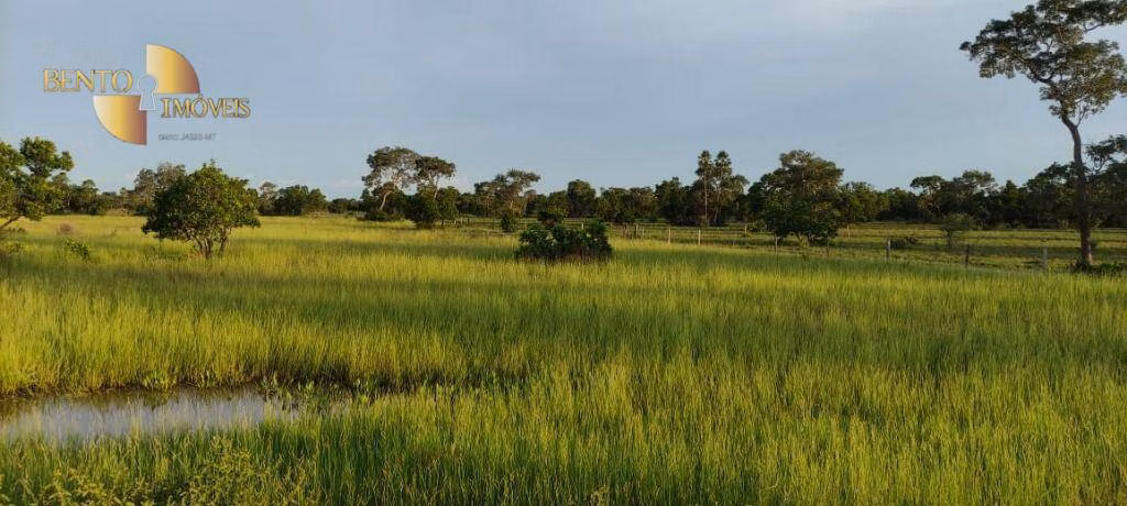 Fazenda de 750 ha em Cuiabá, MT