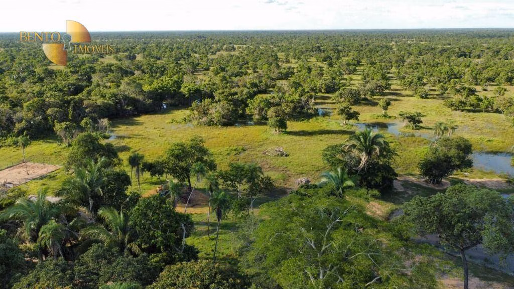 Fazenda de 750 ha em Cuiabá, MT