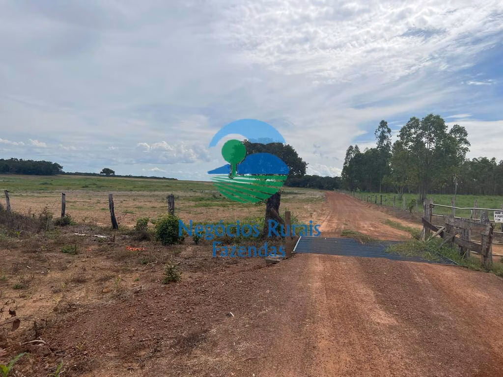 Fazenda de 1.379 ha em Figueirópolis, TO