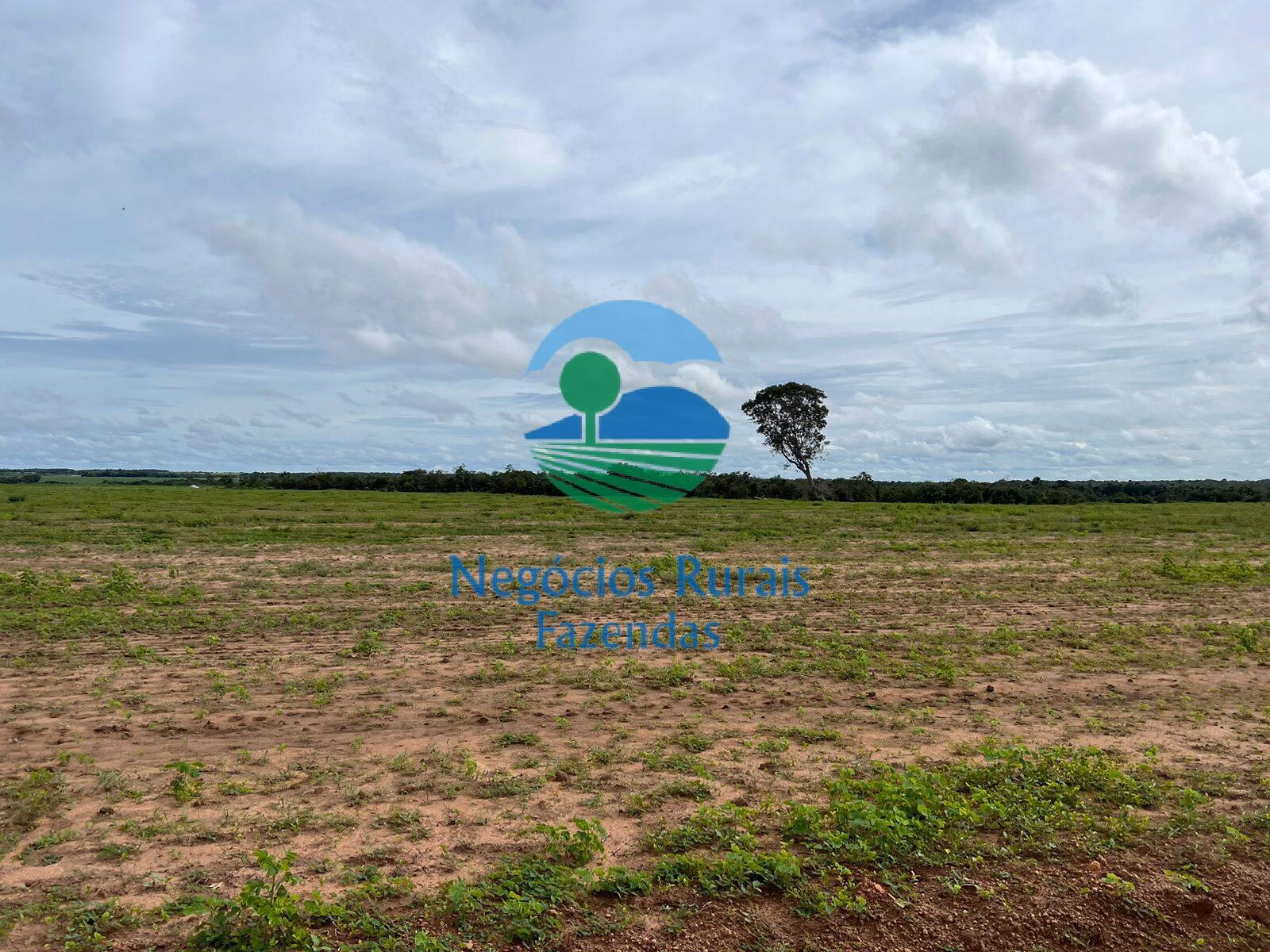 Fazenda de 1.379 ha em Figueirópolis, TO
