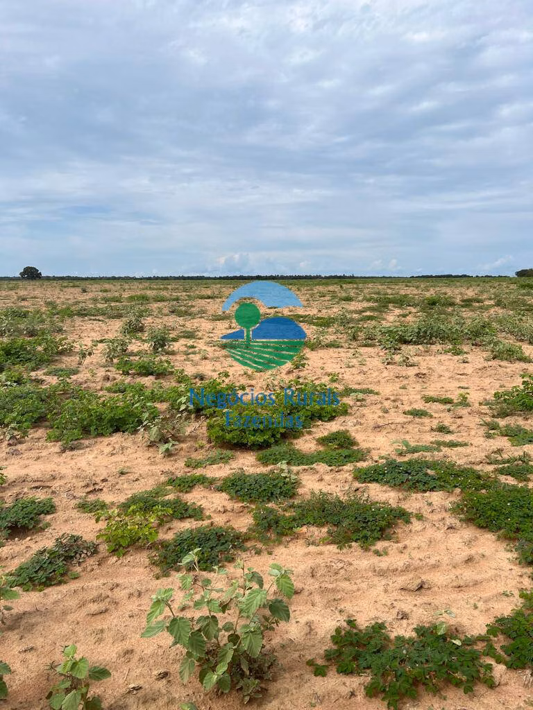 Fazenda de 1.379 ha em Figueirópolis, TO