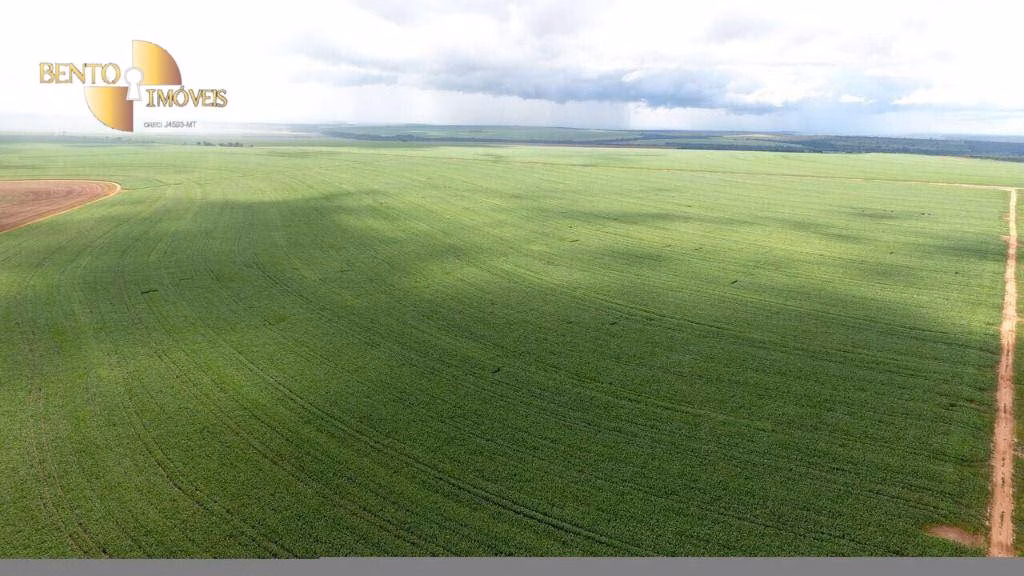 Farm of 10.008 acres in General Carneiro, MT, Brazil