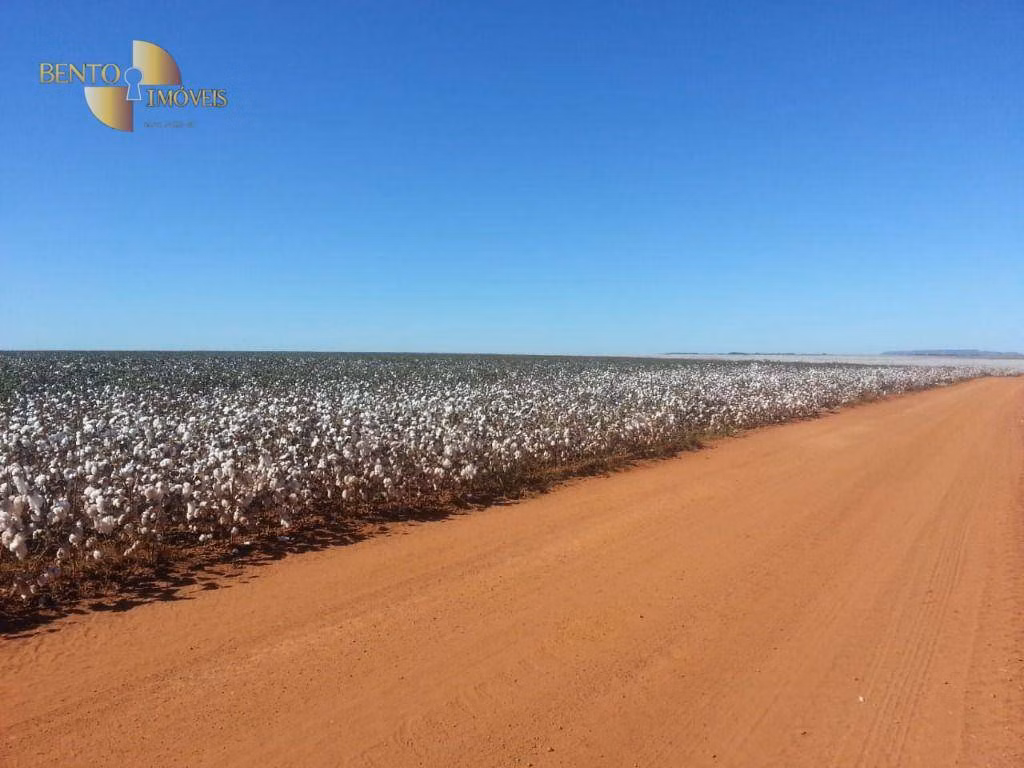 Farm of 10,008 acres in General Carneiro, MT, Brazil