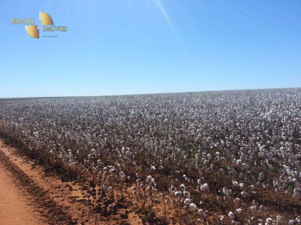 Farm of 10,008 acres in General Carneiro, MT, Brazil